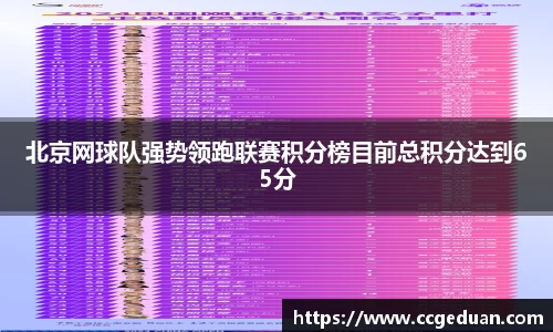 北京网球队强势领跑联赛积分榜目前总积分达到65分
