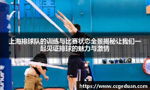 上海排球队的训练与比赛状态全景揭秘让我们一起见证排球的魅力与激情
